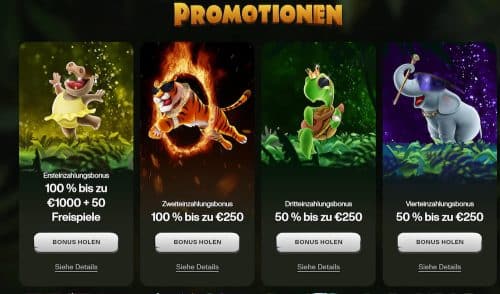 CashWin Aktionen
